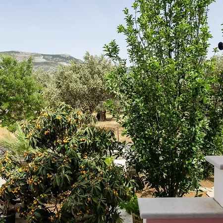 公寓 Cozy & Peaceful In Chalki *